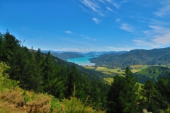 Queen Charlotte Track - Kenepuru Head-2