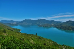 Queen Charlotte Track - Kenepuru Sound-2