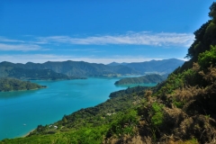 Queen Charlotte Track - Kenepuru Sound-3