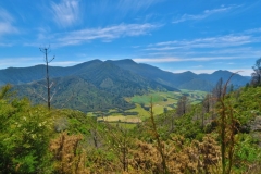 Queen Charlotte Track - Kenepuru Tal