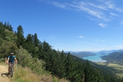 Queen Charlotte Track - Mountain Biker