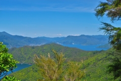 Queen Charlotte Track - Picton