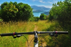 Queen Charlotte Track - Te Mahia - Portage