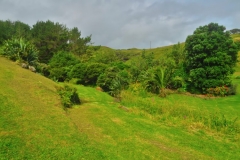 Ruapuke Campground-2