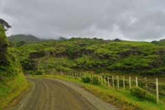 Wainui Road