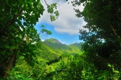 Cross-Island Track - Blick in die Berge