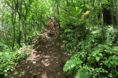 Cross-Island Track - Klettersteig