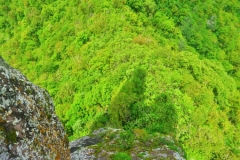 Cross-Island Track - The Needle - Abhang
