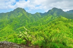 Cross-Island-Track-The-Needle-Blick-nach-Süden