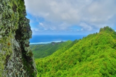 Cross-Island Track - The Needle -Westen