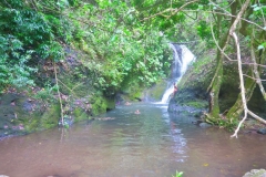 Cross-Island Track - Wasserfall