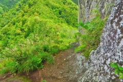 Klettern an der Needle