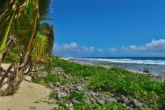 Strand Ngatangiia