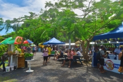 Te Punanga Nu Market