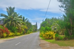 Titikaveka