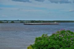 Schiff-auf-dem-Rio-Paraná