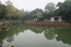 Fuxing Park-3