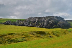 Baeume-am-Slope-Point