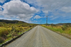 Haldane Curio Bay Road