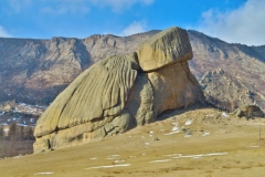 Turtle Rock