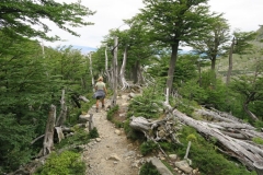 Ridge auf dem Weg aus dem Frances Valley