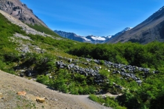 Weg vom Chileno Camp zum Torres Del Paine-3