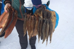 Geräucherter Fisch in Barabinsk