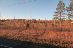 Herbstwälder