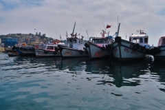 Hafen - Fischerboote