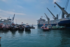 Hafenrundfahrt - Fischerboote