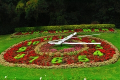 Blumenuhr-2
