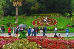 Blumenuhr