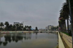 Estero-Vina-del-Mar