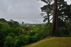 Botanischer Garten