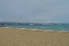 Oriental Bay - Blick zum Hafen