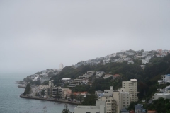 Oriental Bay von der Palliser Road