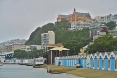 Oriental Bay