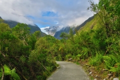 Franz Josef Gletscher - Fussweg