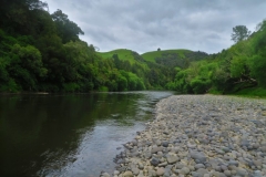 Whanganui River-2