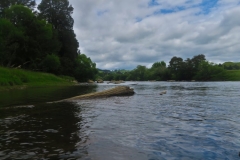 Whanganui River-3