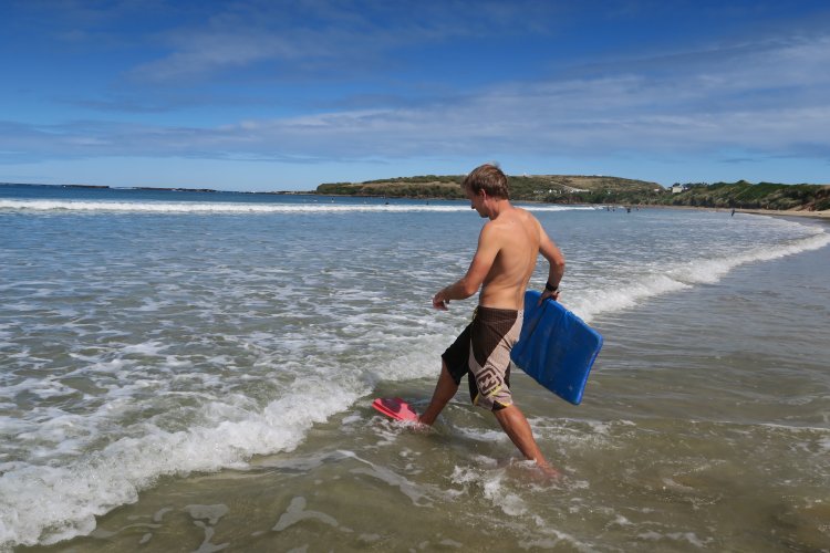 Mit Delfinen schwimmen in der Porpoise Bay