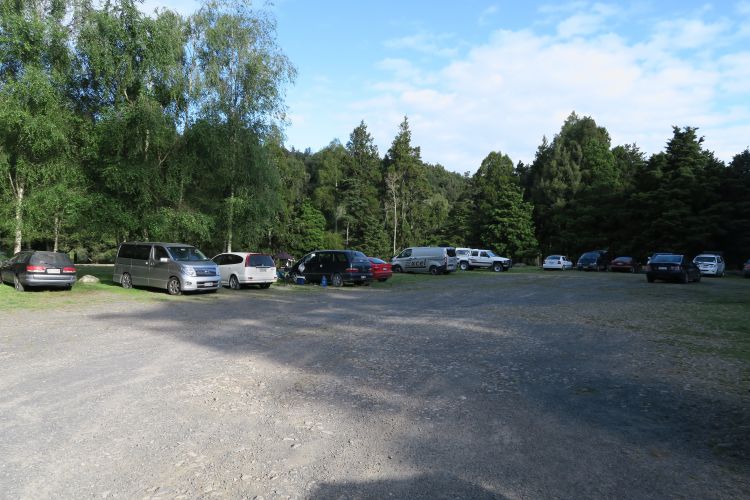 Campingplatz Kaimai-Mamaku Forest Park – Dickey Flat Campsite