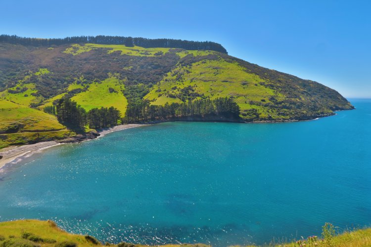 Banks Peninsula Track