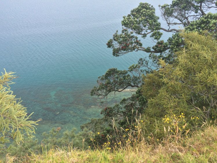 Sandrett Regional Park – Martins Bay